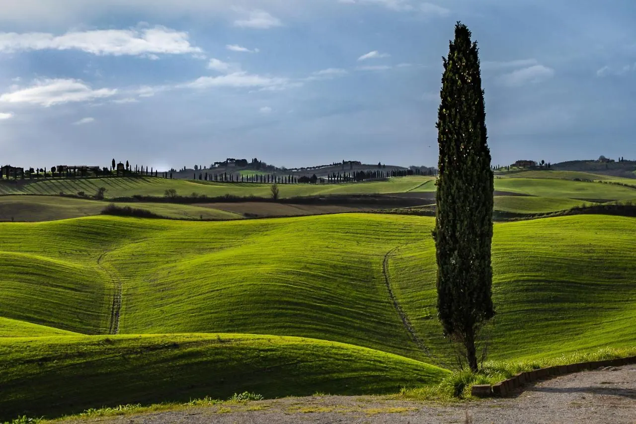 Podere Fossaccio Casa Fiordaliso Asciano Holiday home
