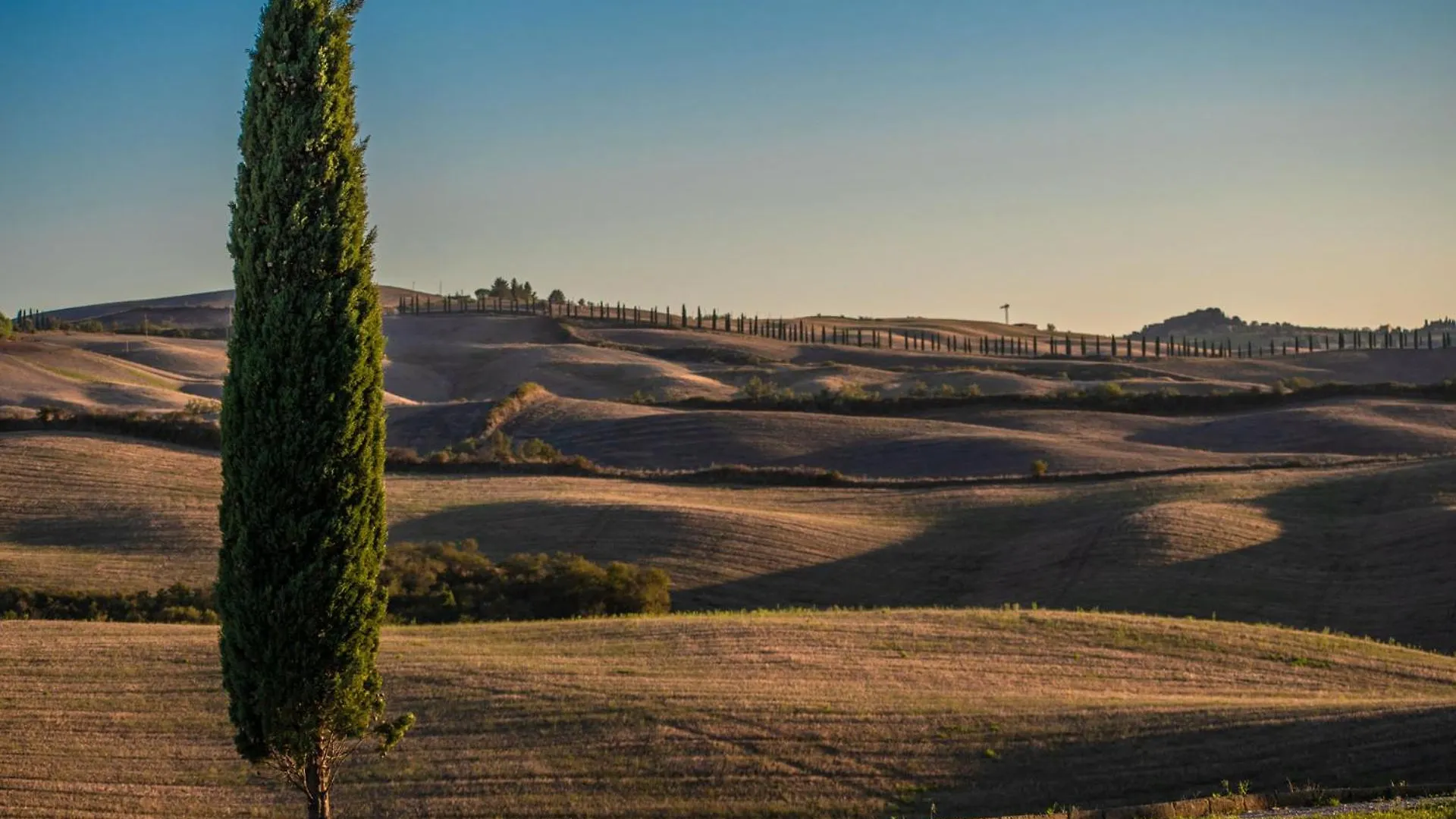Podere Fossaccio Casa Fiordaliso Asciano Italy